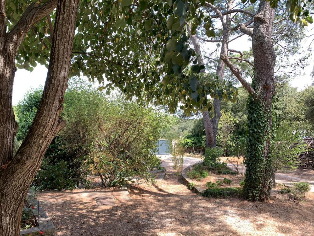 Mazet Proche Golf Nîmes Exterior foto