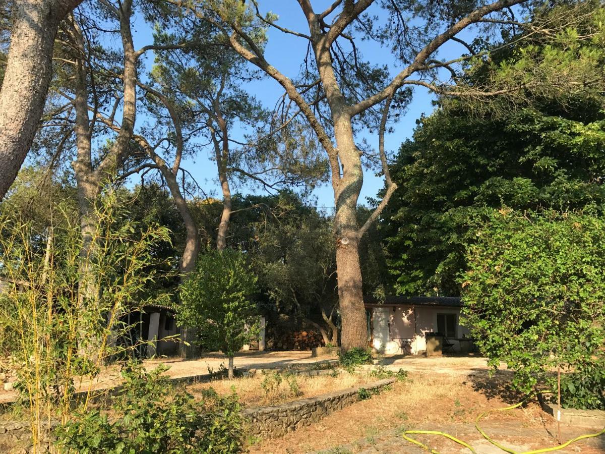 Mazet Proche Golf Nîmes Exterior foto
